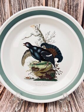 Portmeirion Birds of Britain Black Bird Dinner Plate Vintage Birds Series 1978